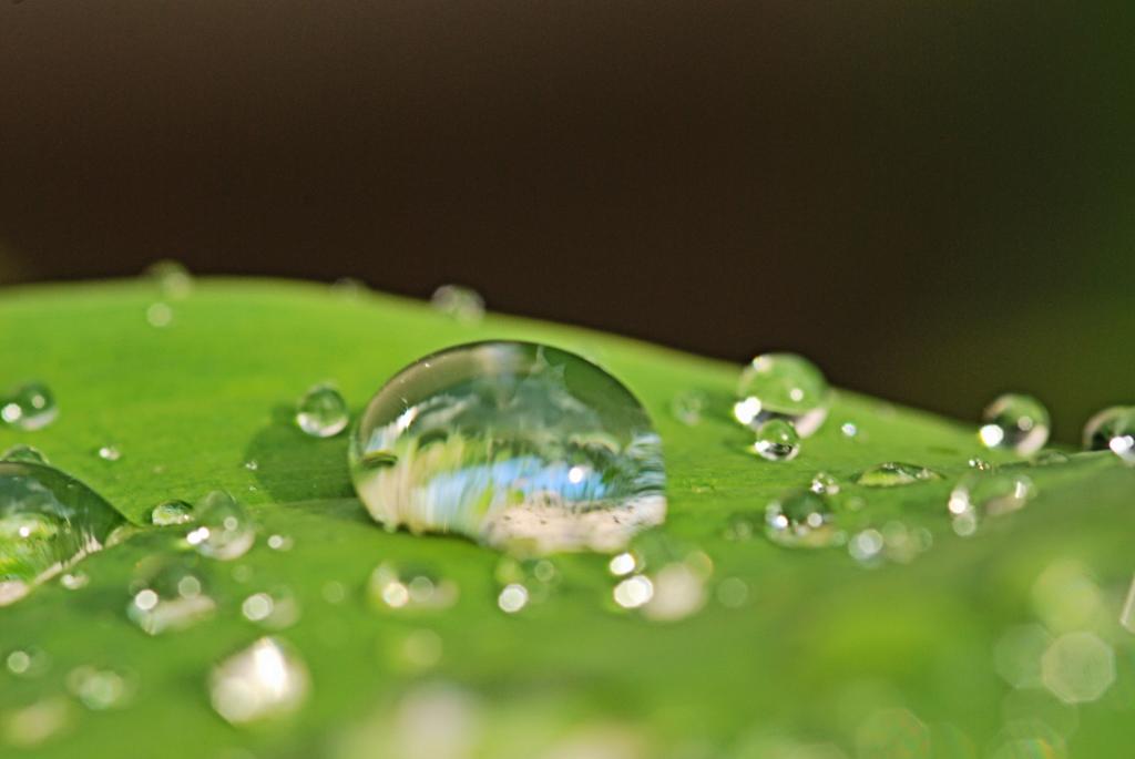 Wassertropfen