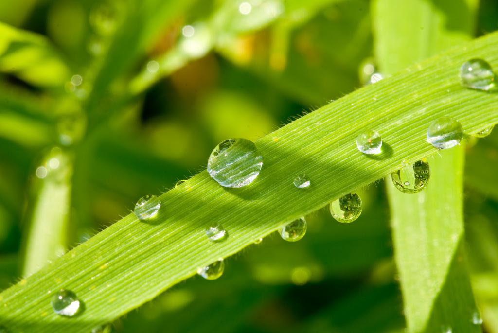 Wassertropfen