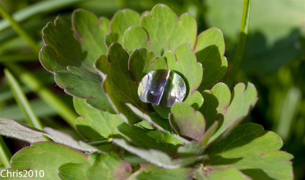 Wassertropfen