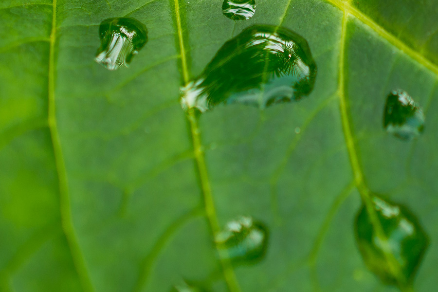Wassertropfen1