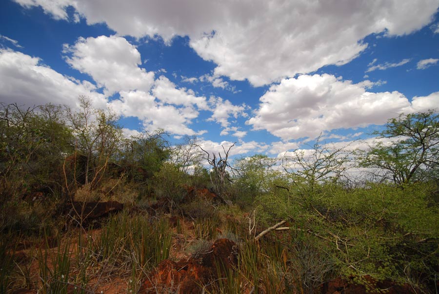 Waterberg