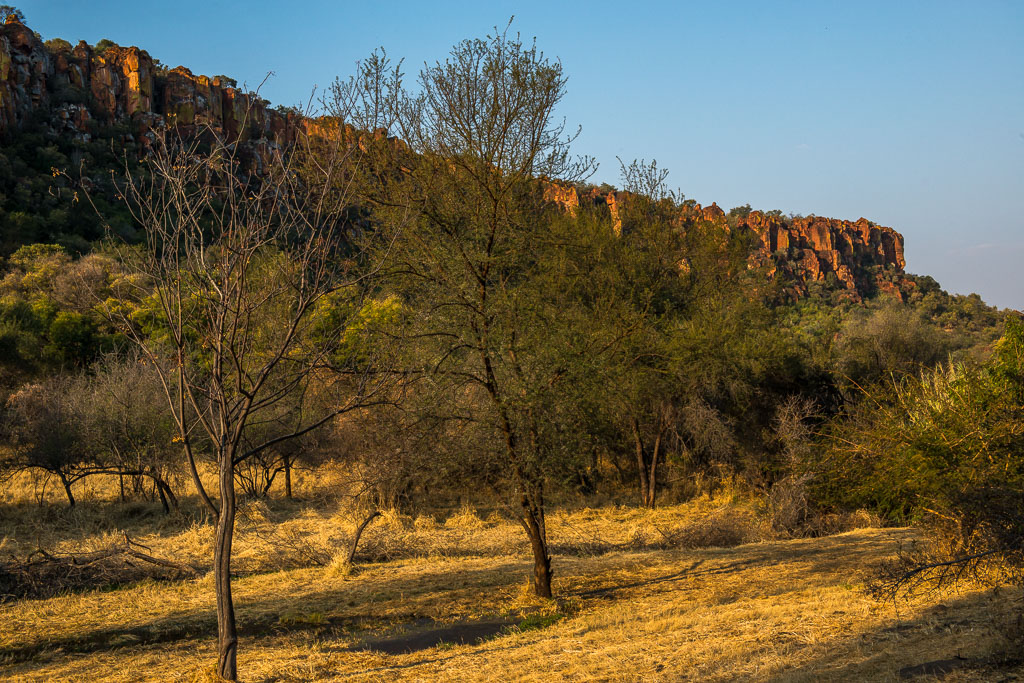 Waterberg