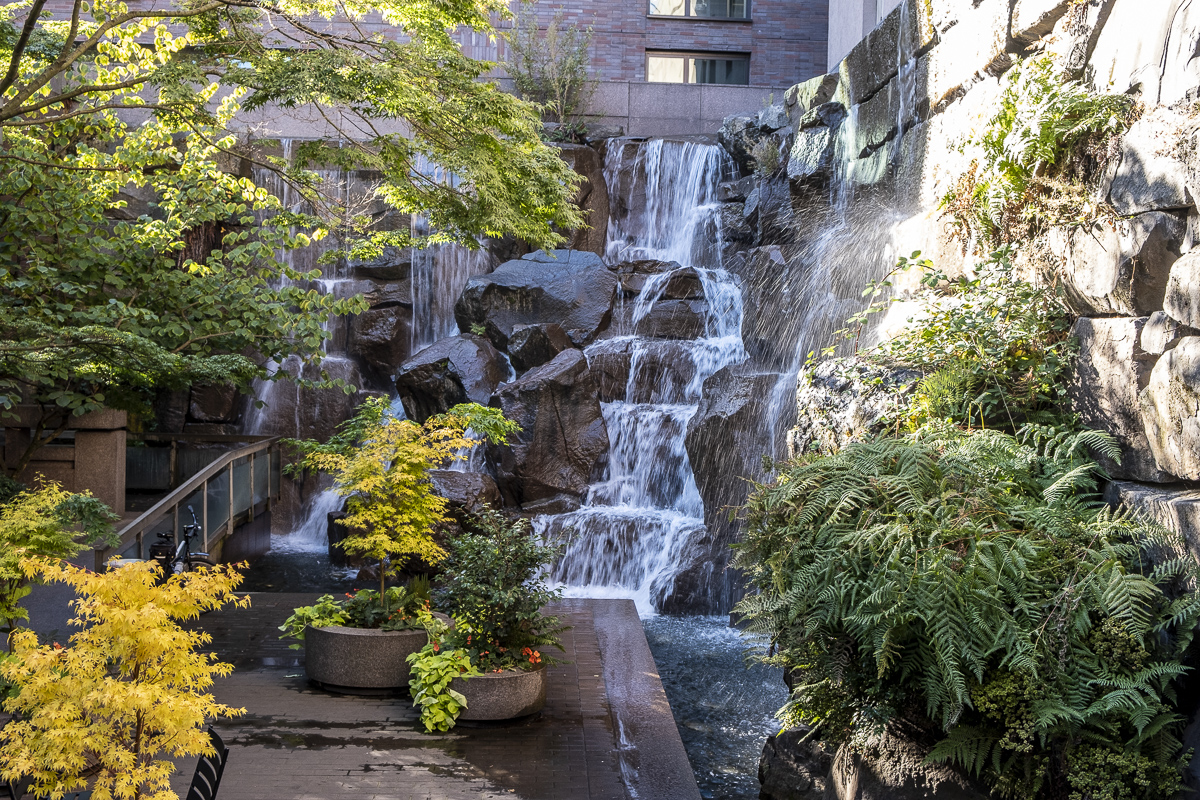 Waterfall Garden Park.jpg