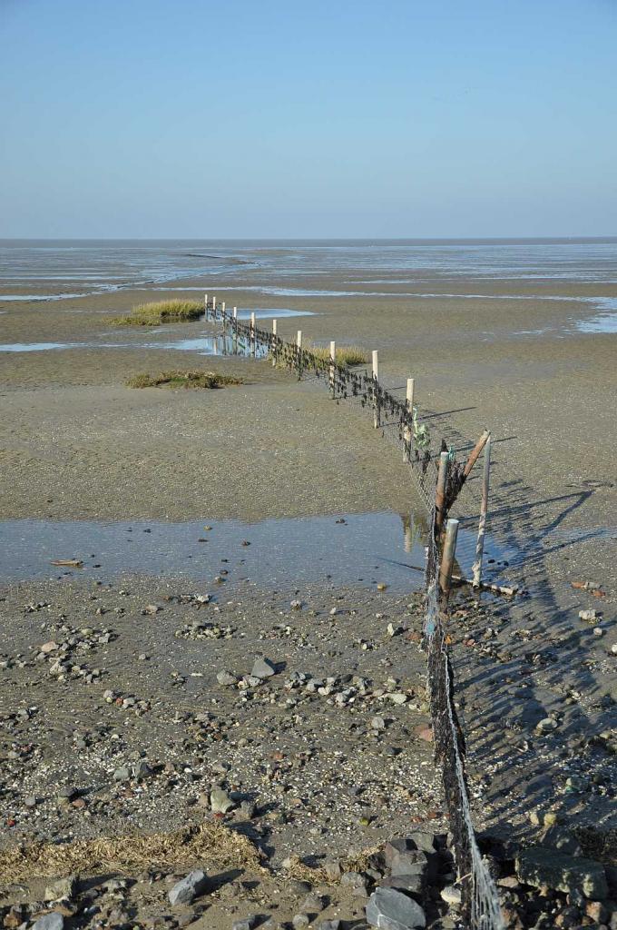 Watt bei Greetsiel