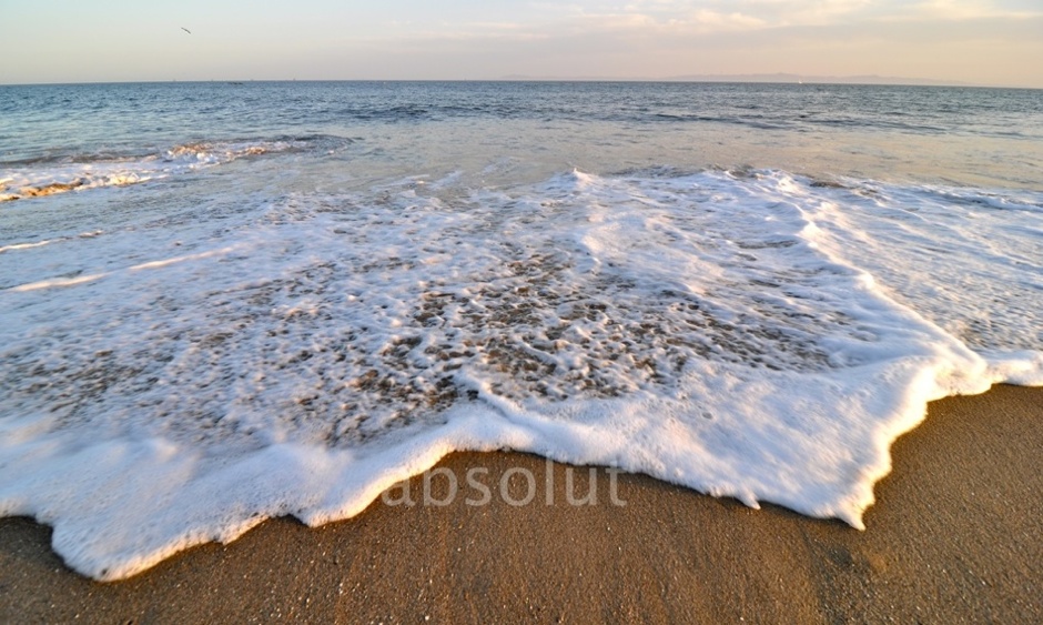 wave
