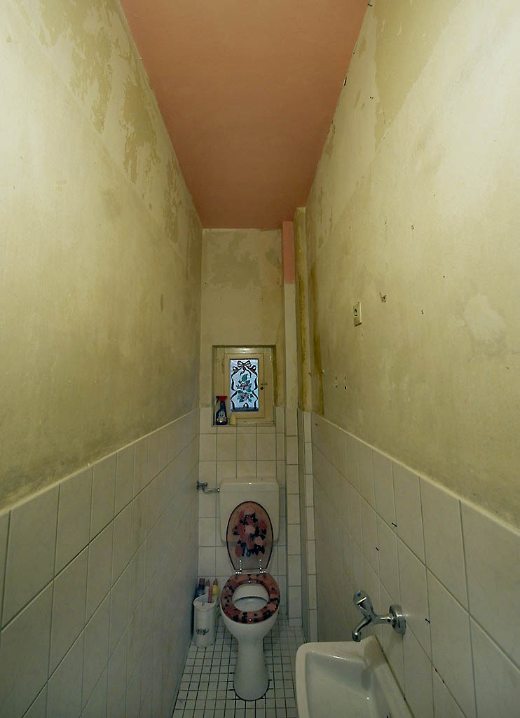 WC-Ludwigs Thronsaal - vorher