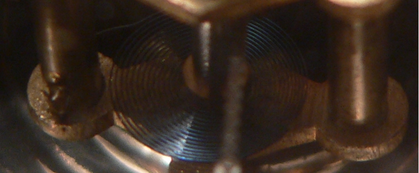 WD6a