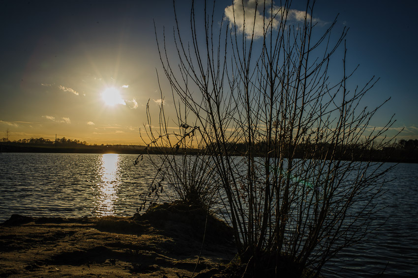 WDJan2014 1794