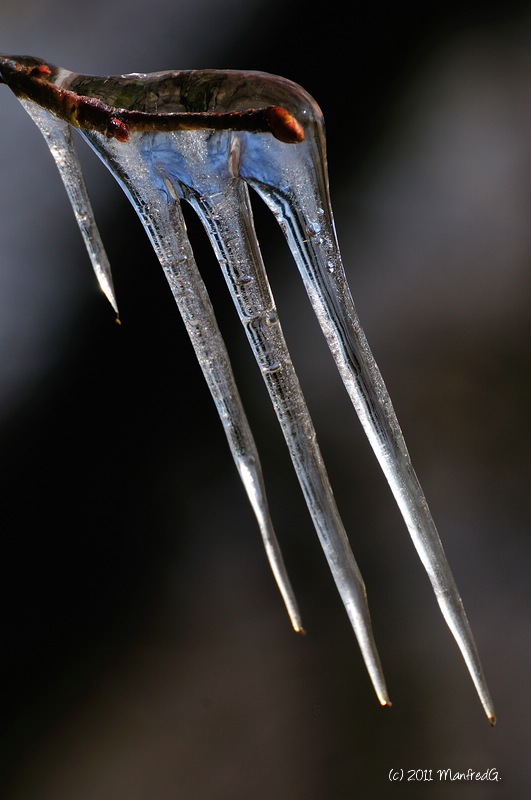 web DSC 1649