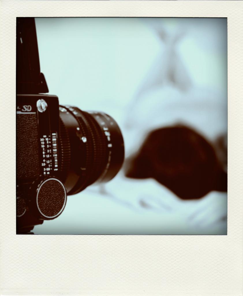 Web JOE3887 pola