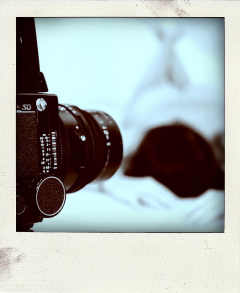 Web JOE3887 pola02