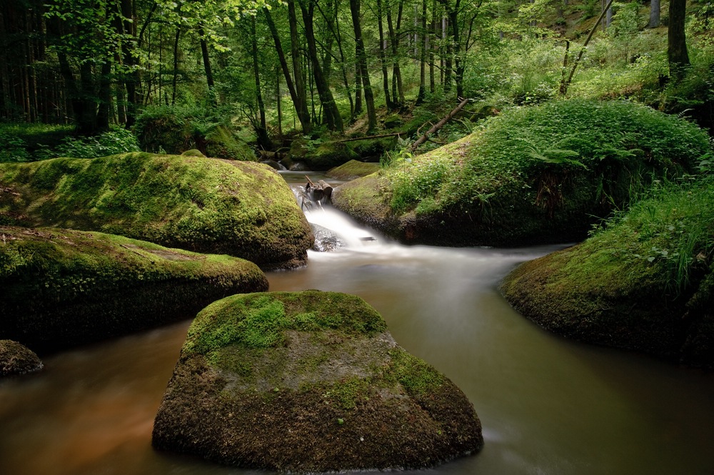 web Otterbachtal 100529 5237