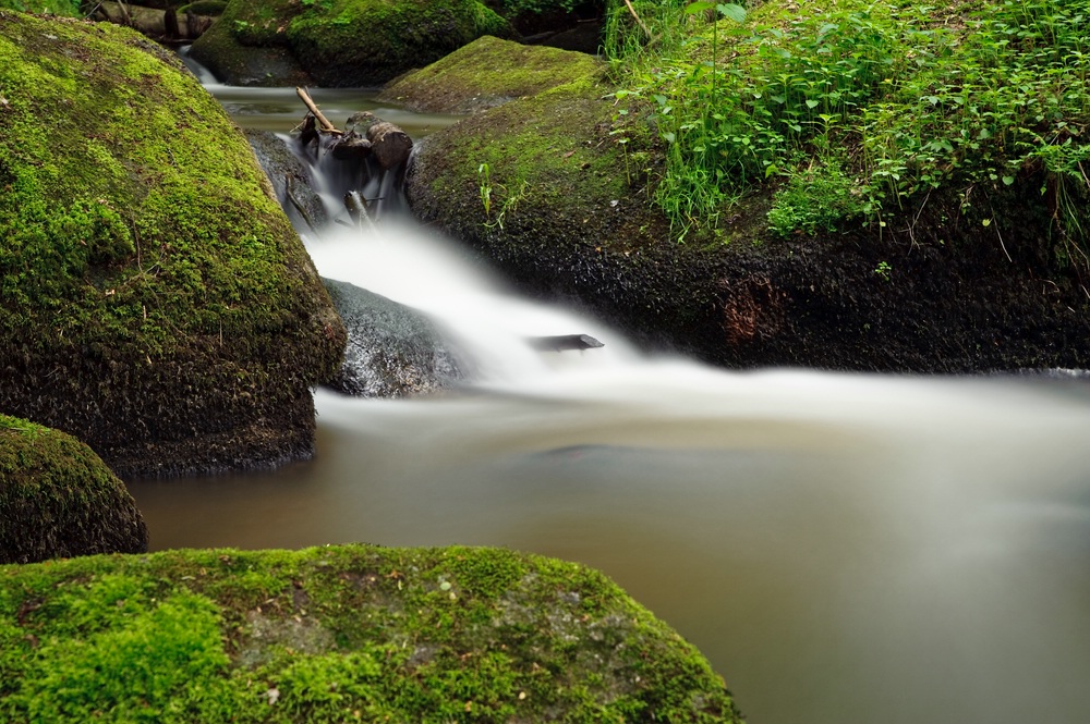 web Otterbachtal 100529 5260 2