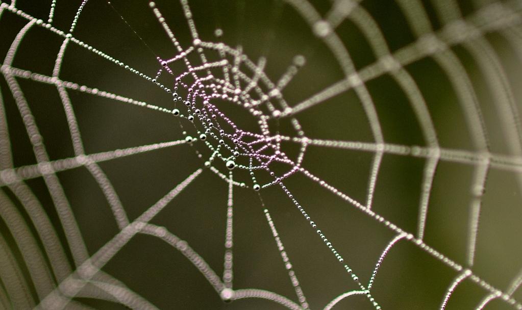 web4NF