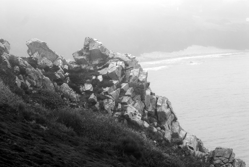 webFels 008SW