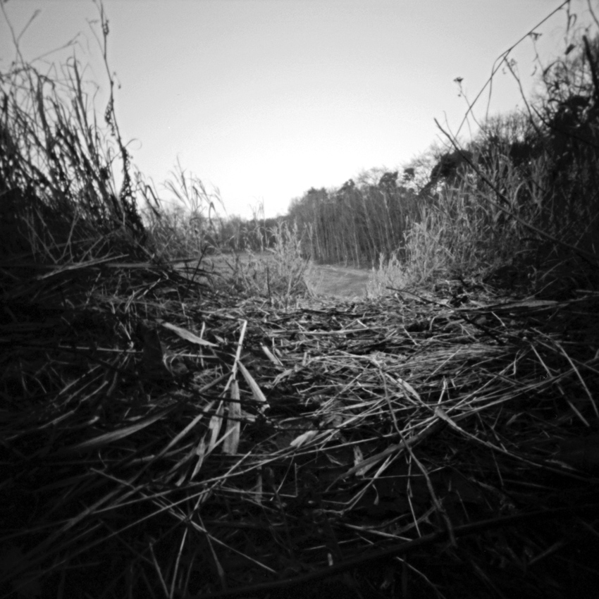 WebPinholeBild8 Retro