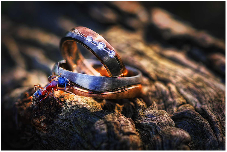 Wedding 015 1