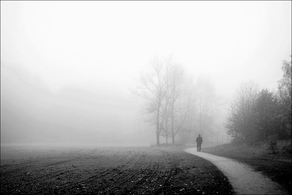 Weg - 11/2009 -