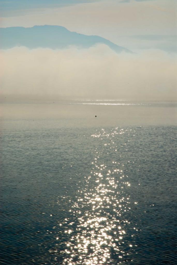 Weg ins Licht