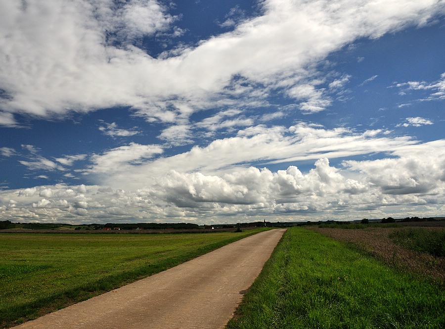 Weg web