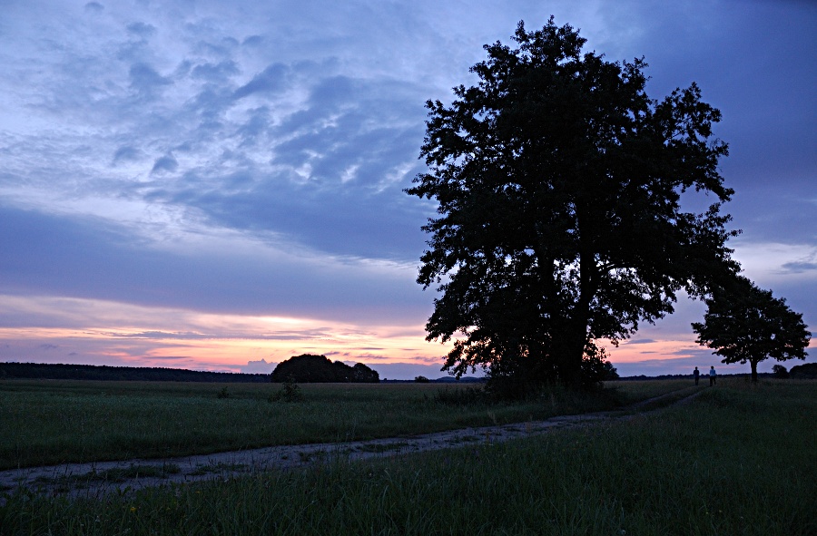 Weg zum See