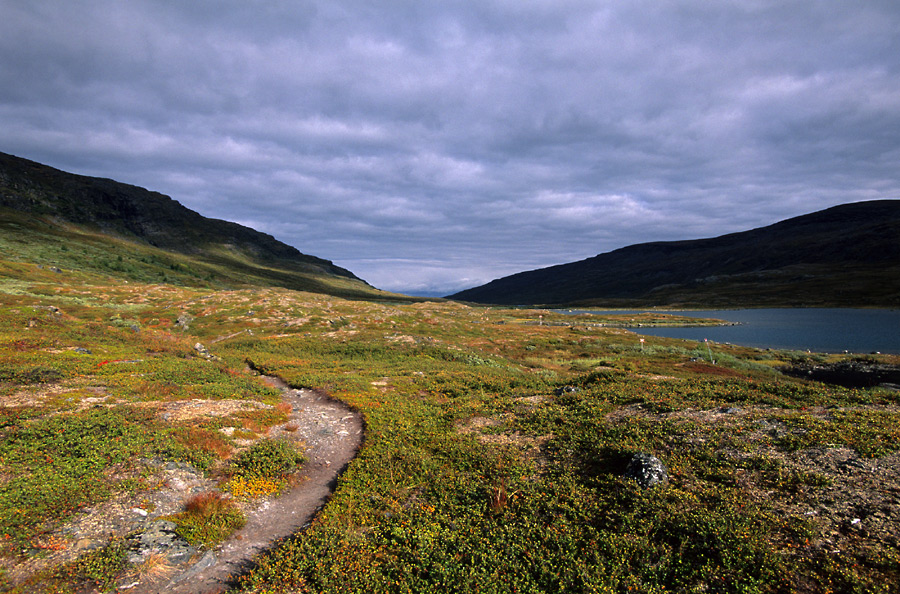 Wege im Fjäll