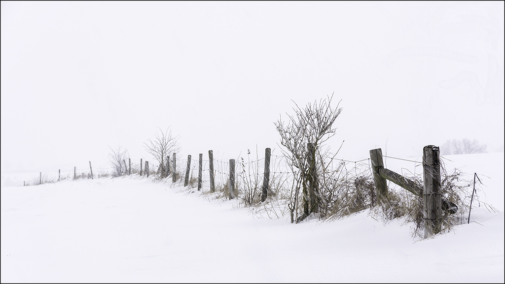 Weidezaun im Schneetreiben