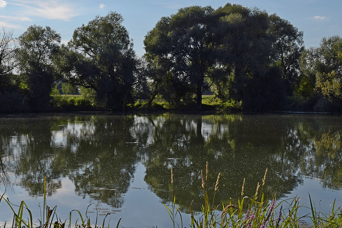 Weiher 2