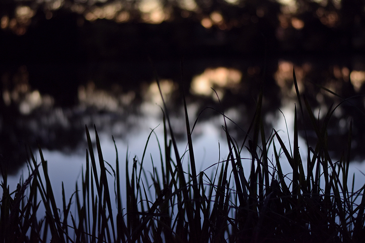 Weiher 4