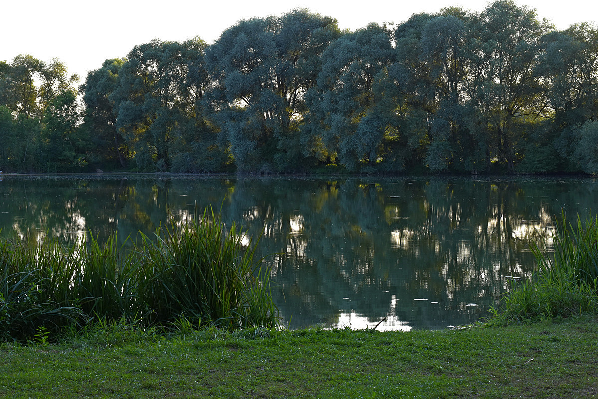 Weiher