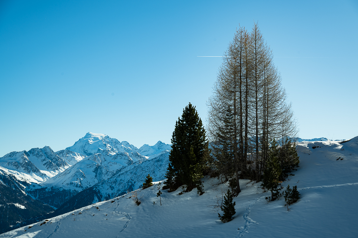 Weihnachten- Neujahr-Hochfilzen-Mustair-5165.jpg