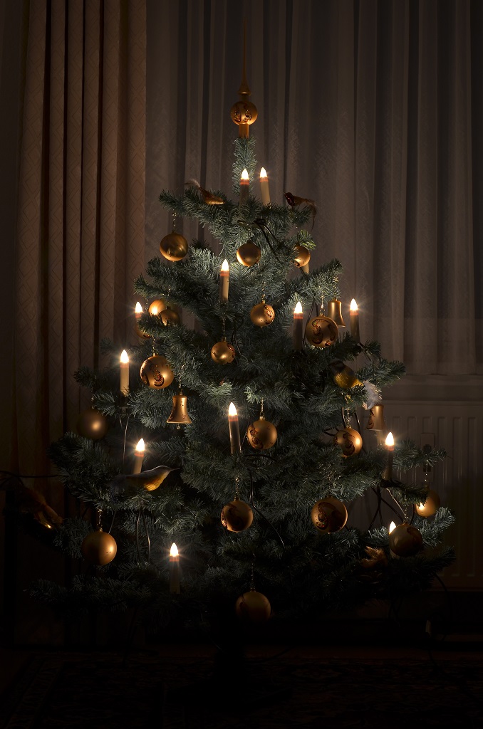Weihnachtsbaum 2