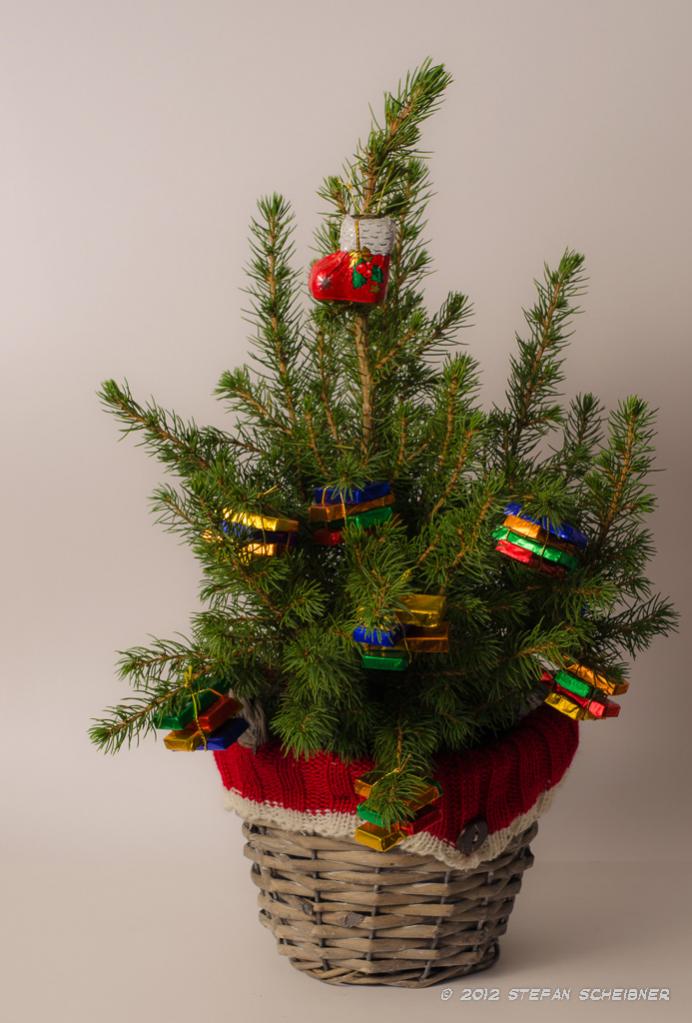Weihnachtsbaum