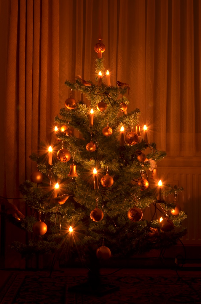 Weihnachtsbaum