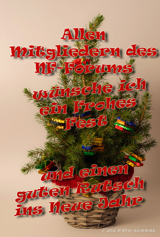 Weihnachtsgrüße 2012