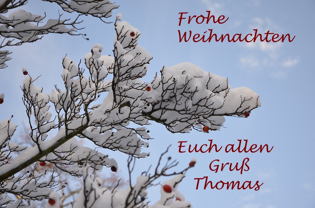 Weihnachtsgruß 2