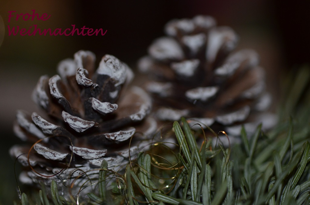 Weihnachtsgruß klein
