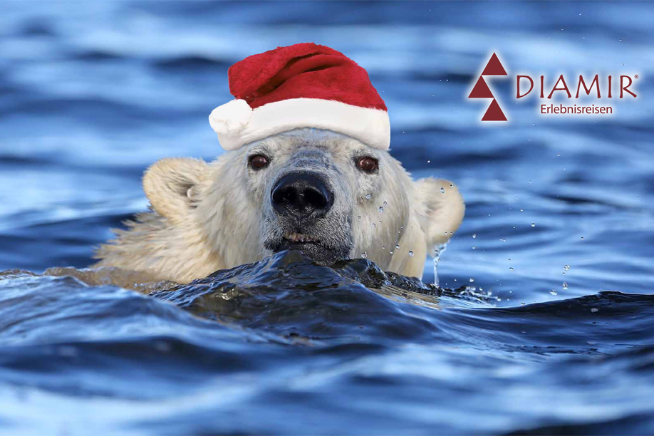 Weihnachtskarte 2013