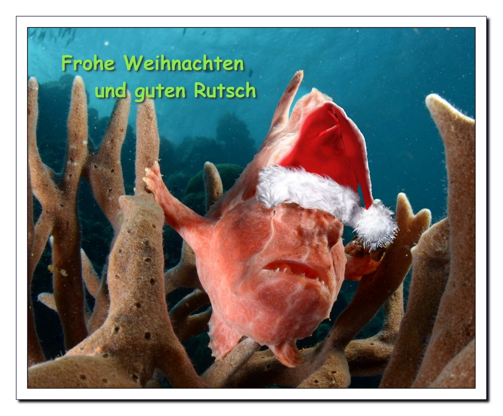 WeihnachtsKarte 2015 NF