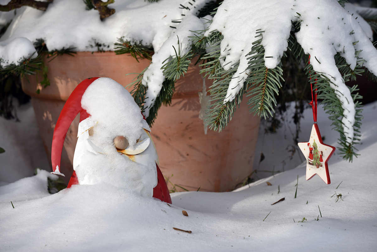 weihnachtsmann.jpg