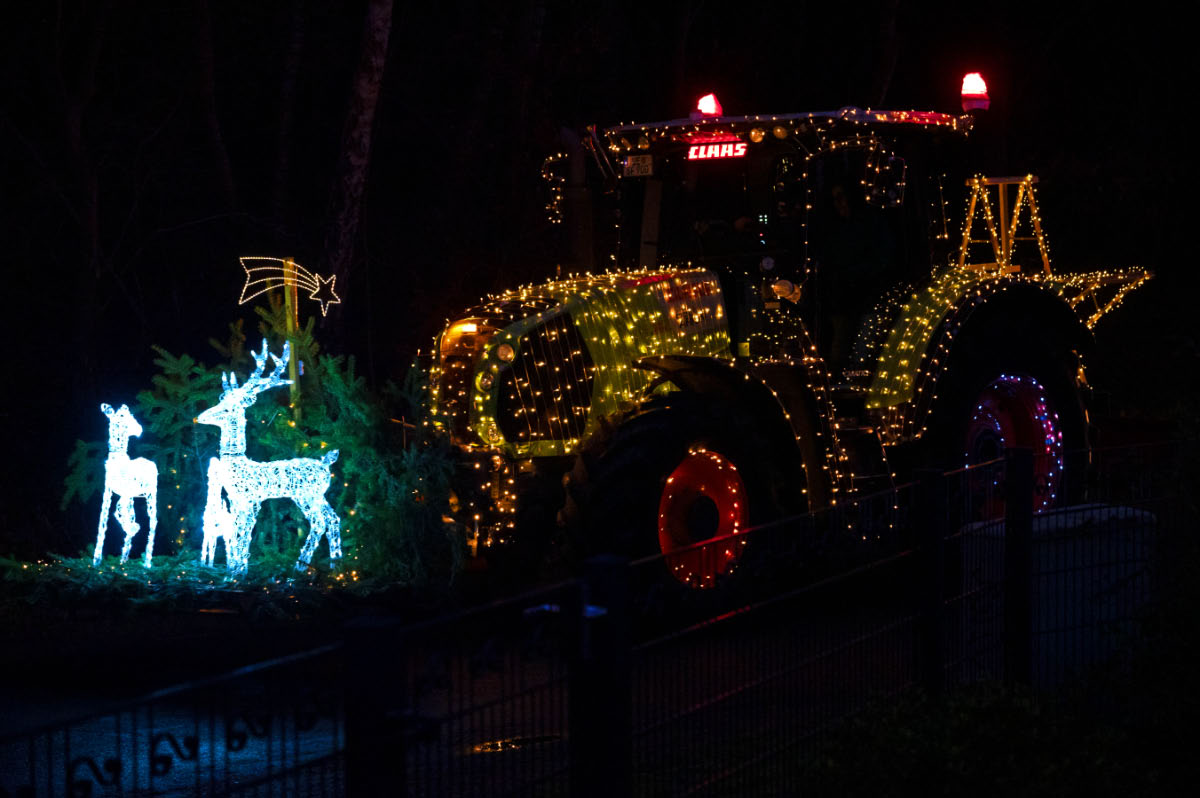 Weihnachtstrecker 2.jpg