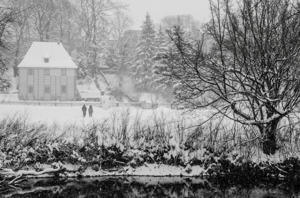 Weimar - Winter im Park