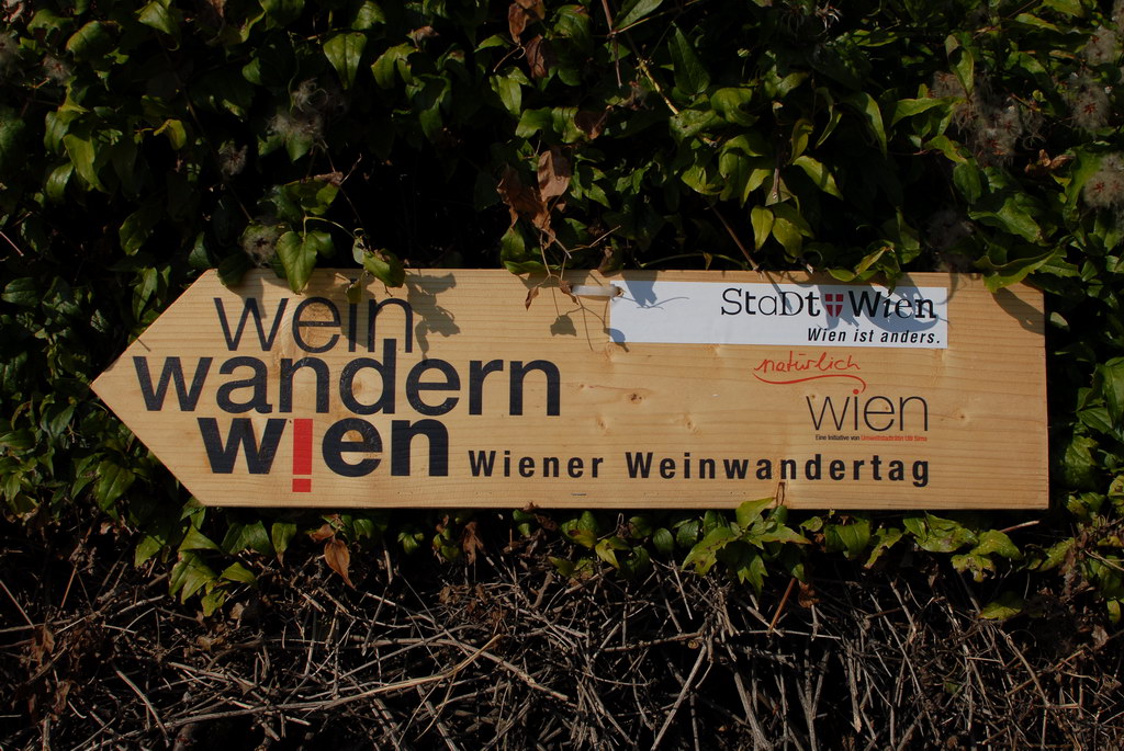 Weinwandertag 01