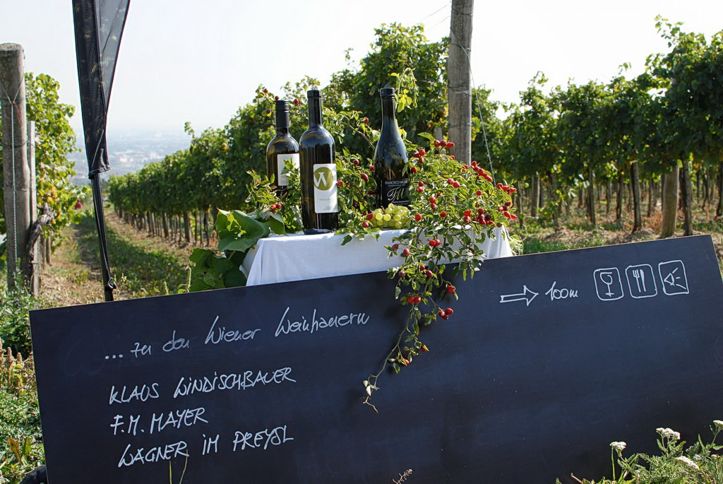 Weinwandertag 04