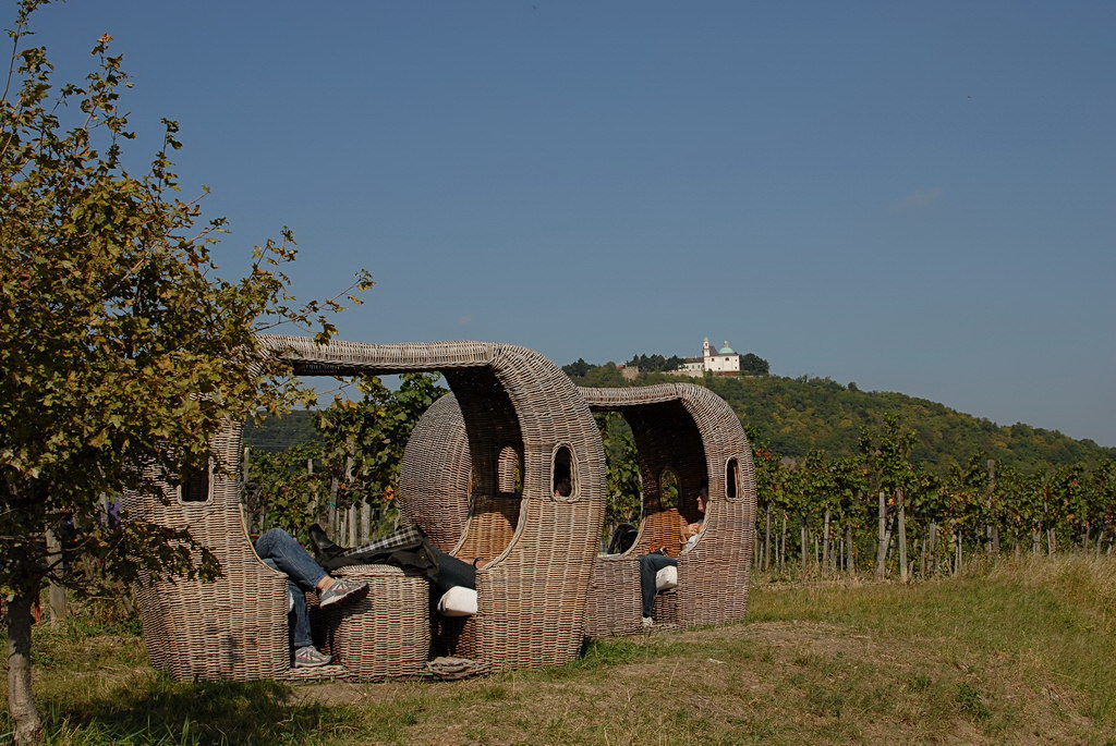 Weinwandertag 09