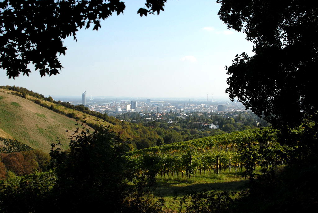 Weinwandertag 17