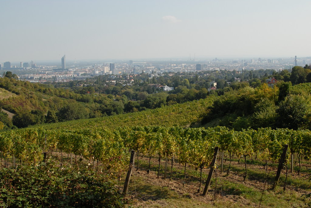Weinwandertag 18