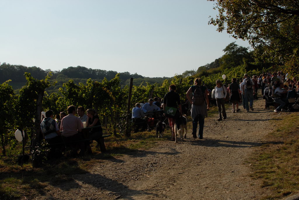 Weinwandertag 23