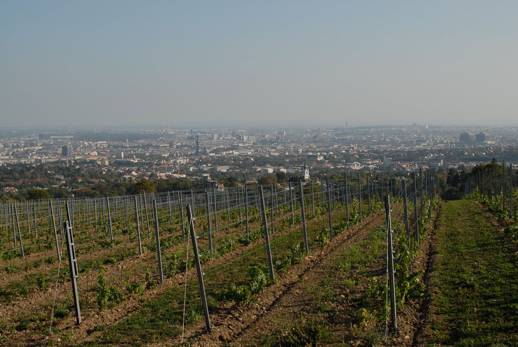 Weinwandertag 24