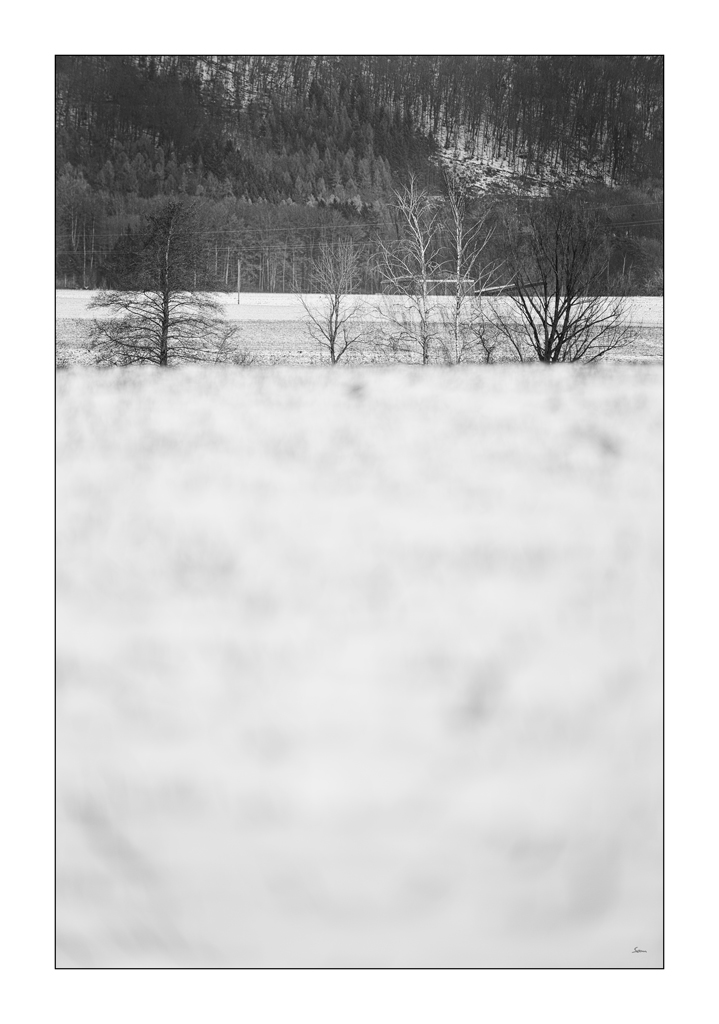 WeissPZ1 4830